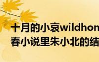 十月的小哀wildhoney423（10月12日致青春小说里朱小北的结局）