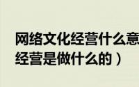网络文化经营什么意思（10月12日网络文化经营是做什么的）