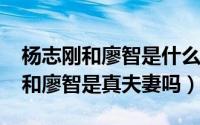 杨志刚和廖智是什么关系（10月12日杨志刚和廖智是真夫妻吗）