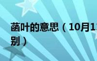 菡叶的意思（10月11日四叶菡萏和荷花的区别）