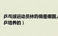 乒乓球运动员林昀儒是哪国人（10月12日林昀儒说自己是国乒培养的）