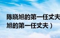 陈晓旭的第一任丈夫毕彦君（10月12日陈晓旭的第一任丈夫）