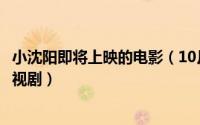 小沈阳即将上映的电影（10月08日小沈阳演过什么电影和电视剧）