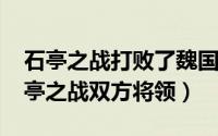 石亭之战打败了魏国哪位将领（10月12日石亭之战双方将领）