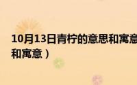 10月13日青柠的意思和寓意和象征（10月13日青柠的意思和寓意）