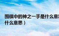 围棋中的神之一手是什么意思?（10月12日围棋的神之一手什么意思）
