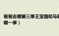 爸爸去哪第三季王宝强和马蓉（10月12日爸爸去哪儿王宝强哪一季）