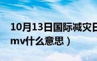 10月13日国际减灾日宣传知识（10月13日dmv什么意思）