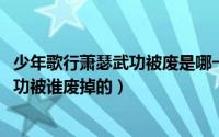 少年歌行萧瑟武功被废是哪一集（10月13日少年歌行萧瑟武功被谁废掉的）