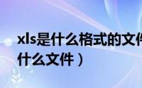 xls是什么格式的文件（10月08日xls格式是什么文件）