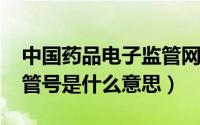 中国药品电子监管网官网（10月13日电子监管号是什么意思）