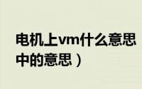 电机上vm什么意思（10月08日volts在电机中的意思）