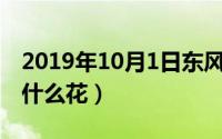 2019年10月1日东风（10月08日东洋之花是什么花）