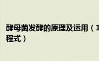 酵母菌发酵的原理及运用（10月08日酵母菌发酵原理化学方程式）
