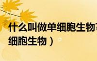 什么叫做单细胞生物?（10月13日什么叫做单细胞生物）