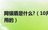 网银盾是什么?（10月13日银行网盾是干什么用的）