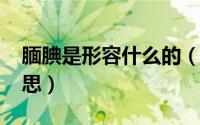 腼腆是形容什么的（10月13日腼腆是什么意思）