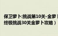 保卫萝卜:挑战第10关-金萝卜金牌攻略（10月14日保卫萝卜终极挑战30关金萝卜攻略）
