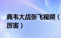典韦大战张飞视频（10月14日典韦和张飞谁厉害）
