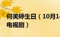 何美婷生日（10月14日何美钿穆婷婷主演的电视剧）