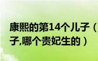 康熙的第14个儿子（10月14日康熙是谁的儿子,哪个贵妃生的）