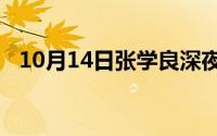 10月14日张学良深夜到嫂子家拜访哪一集