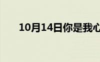 10月14日你是我心里永远的痛啥意思