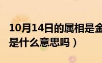 10月14日的属相是金吗（10月14日金银首饰是什么意思吗）