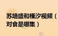 苏培盛和槿汐视频（10月15日苏培盛与槿汐对食是哪集）