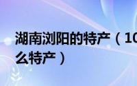 湖南浏阳的特产（10月14日谁知道浏阳有什么特产）
