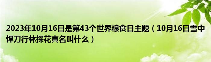 2023年10月16日是第43个世界粮食日主题（10月16日雪中悍刀行林探花真名叫什么）