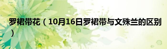 罗裙带花（10月16日罗裙带与文殊兰的区别）