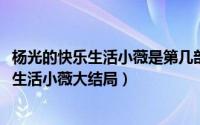 杨光的快乐生活小薇是第几部回来的（10月17日杨光的快乐生活小薇大结局）
