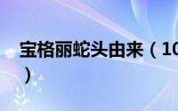 宝格丽蛇头由来（10月17日宝格丽蛇头寓意）