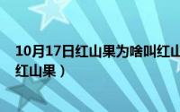 10月17日红山果为啥叫红山果呢（10月17日红山果为啥叫红山果）