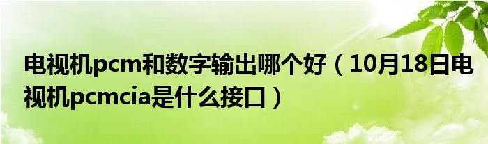 电视机pcm和数字输出哪个好（10月18日电视机pcmcia是什么接口）