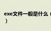 exe文件一般是什么（10月18日何为EXE文件）