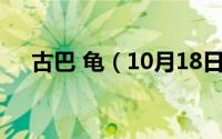 古巴 龟（10月18日古巴龟是什么意思）