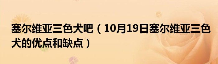 塞尔维亚三色犬吧（10月19日塞尔维亚三色犬的优点和缺点）