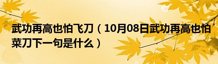 武功再高也怕飞刀（10月08日武功再高也怕菜刀下一句是什么）