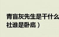 青盲灰先生是干什么的（10月08日青盲灰衣社谁是卧底）