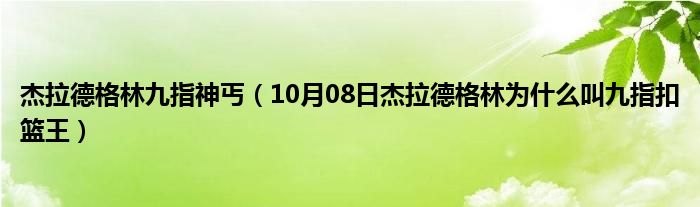 杰拉德格林九指神丐（10月08日杰拉德格林为什么叫九指扣篮王）