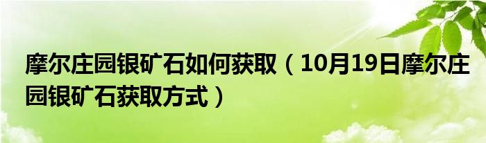 摩尔庄园银矿石如何获取（10月19日摩尔庄园银矿石获取方式）