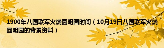 1900年八国联军火烧圆明园时间（10月19日八国联军火烧圆明园的背景资料）