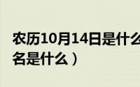 农历10月14日是什么星座（10月19日唐僧俗名是什么）