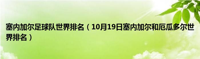 塞内加尔足球队世界排名（10月19日塞内加尔和厄瓜多尔世界排名）