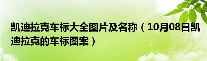 凯迪拉克车标大全图片及名称（10月08日凯迪拉克的车标图案）