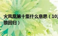 火凤凰第十集什么意思（10月20日火凤凰大结局雷战牺牲天狼回归）