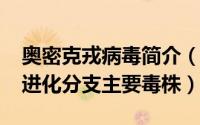 奥密克戎病毒简介（10月20日奥密克戎及其进化分支主要毒株）