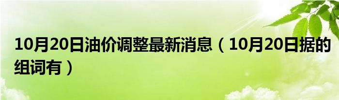 10月20日油价调整最新消息（10月20日据的组词有）